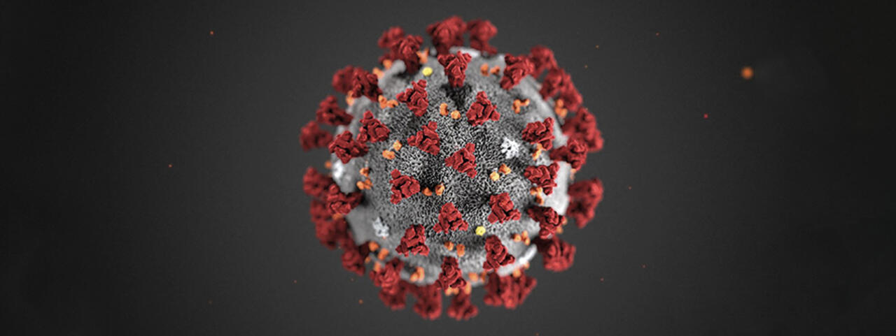 SARS-CoV-2 Disinfection Using Titanium Dioxide Photocatalyst
